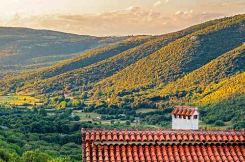 Πρόγραμμα φιλοξενίας. Η Miho Suzuki παρουσιάζει τη δουλειά της
