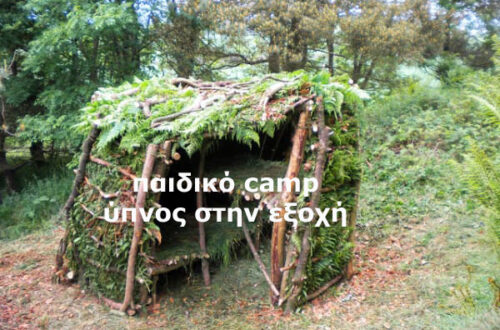 Παιδικό camp