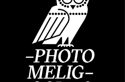 Residency Program: Miho Suzuki